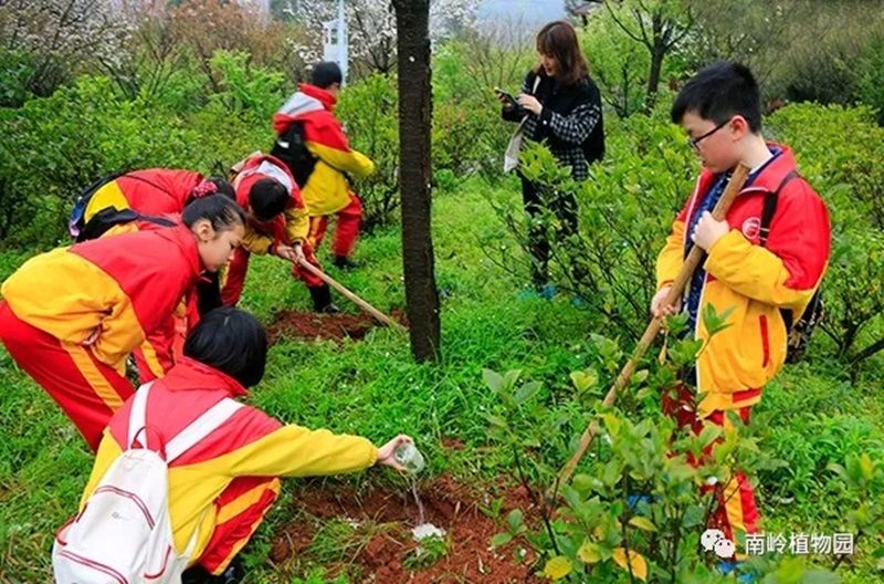 五完小師生風采